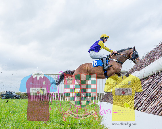 Race 5 - The Richardson's Restricted (39 of 69)