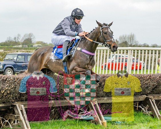 Race 5 - The Richardson's Restricted (41 of 69)