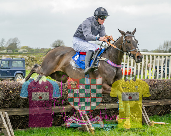 Race 5 - The Richardson's Restricted (42 of 69)