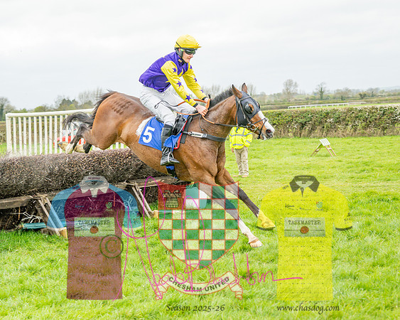 Race 5 - The Richardson's Restricted (46 of 69)