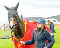 Race 6 - The Fantham Family adjacent Hunts (11 of 61)