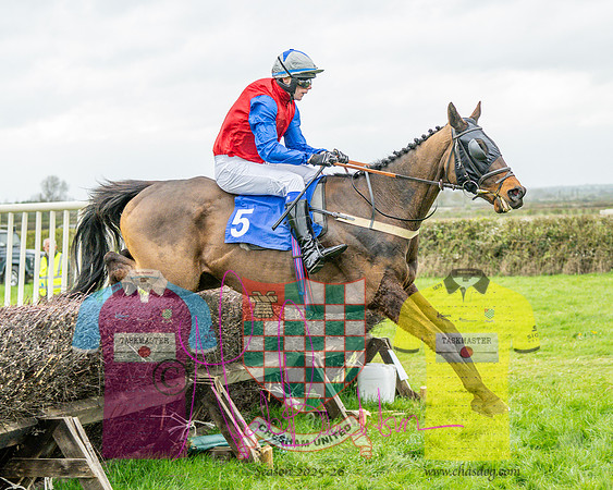 Race 6 - The Fantham Family adjacent Hunts (37 of 61)
