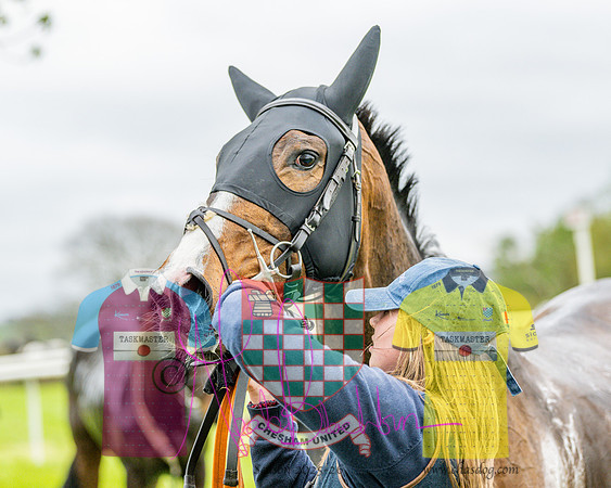Race 6 - The Fantham Family adjacent Hunts (46 of 61)