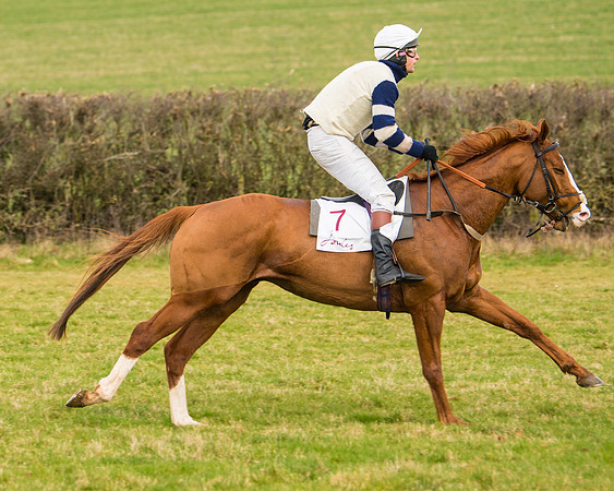 Race 3 - Restricted  (19 of 100)