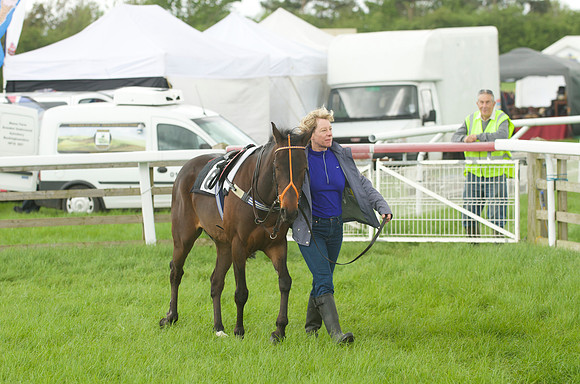 Pony Race - 2    7
