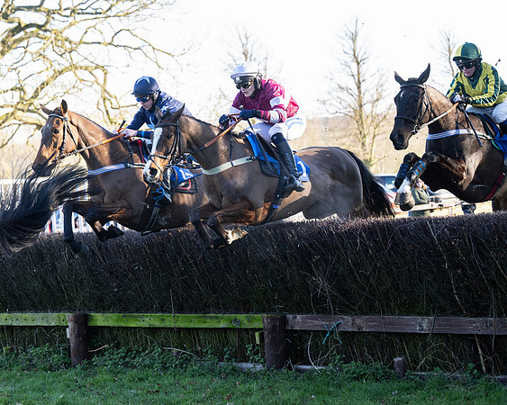 Race 5 - Maiden (53 of 123)