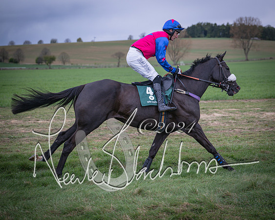 Race 6 - The Restricted Race (21 of 101)