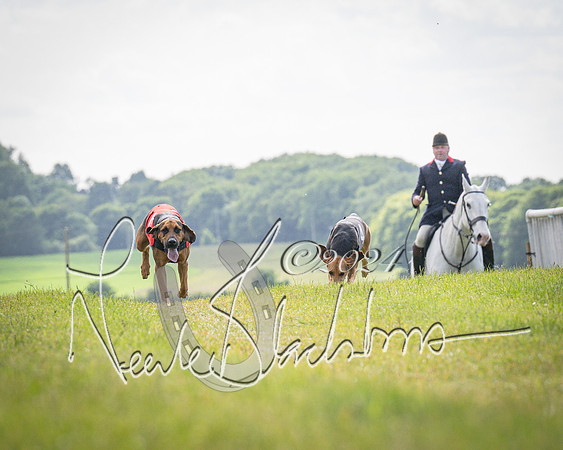 The Hound Race (7 of 68)