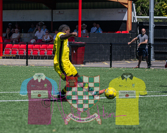 Breaconsfield 2 v 4 Chesham United (74 of 330)