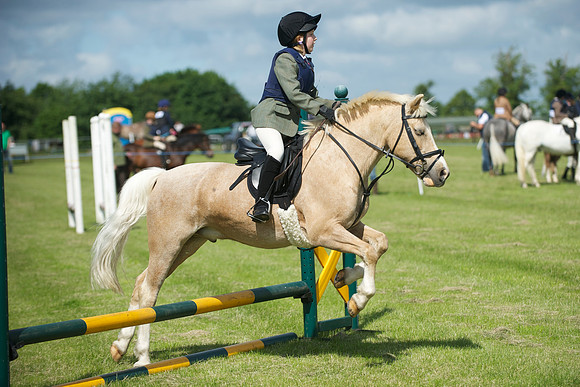 SOHS PC Summer Show at BCA 17th June 2012