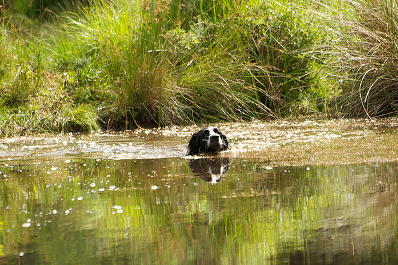 WCGB-04AUG-2013 Water Training Day 60