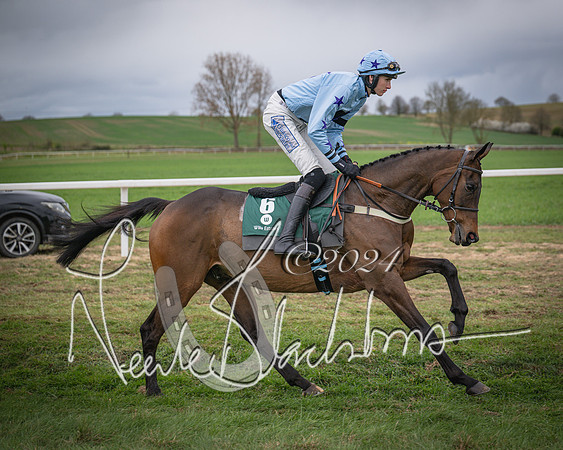 Race 6 - The Restricted Race (10 of 101)