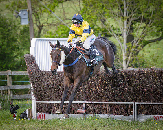 Race 6 - The sir James Shuckburgh Restricted race (51 of 85)