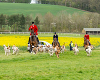 Bicester Hound parade (3 of 14)