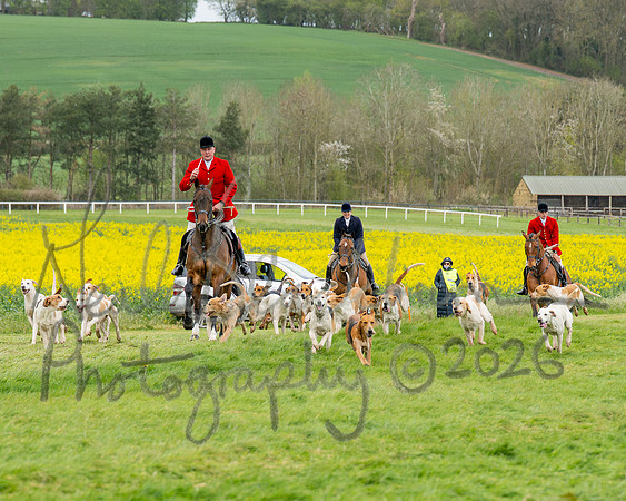 Bicester Hound parade (3 of 14)