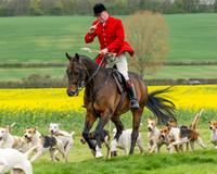 Bicester Hound parade (5 of 14)