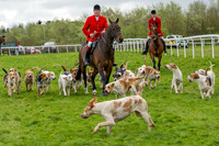 Bicester Hound parade (1 of 14)