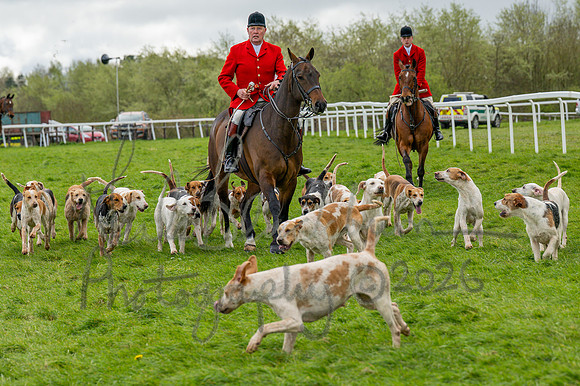 Bicester Hound parade (1 of 14)
