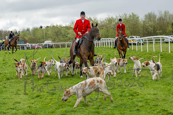 Bicester Hound parade (2 of 14)
