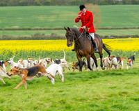 Bicester Hound parade (4 of 14)