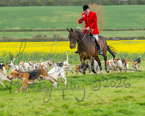 Bicester Hound parade (4 of 14)