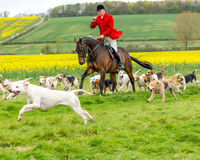 Bicester Hound parade (6 of 14)
