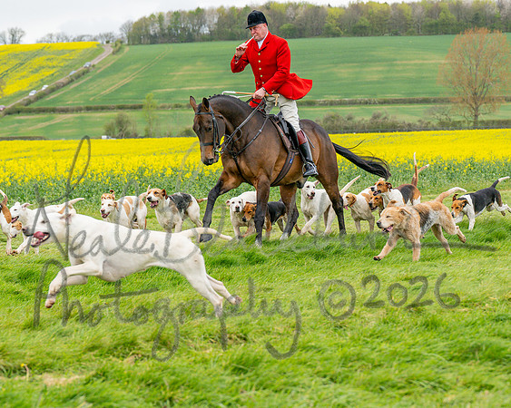 Bicester Hound parade (6 of 14)