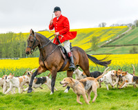 Bicester Hound parade (7 of 14)