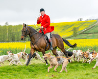 Bicester Hound parade (8 of 14)