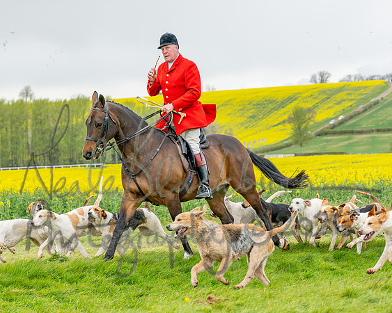 Bicester Hound parade (8 of 14)