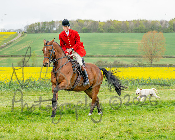 Bicester Hound parade (11 of 14)