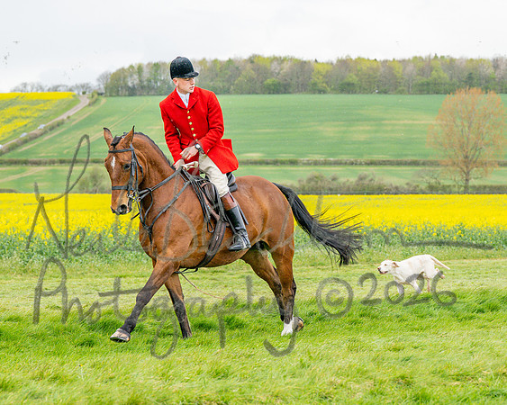 Bicester Hound parade (12 of 14)