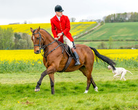 Bicester Hound parade (13 of 14)