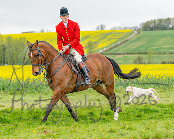 Bicester Hound parade (14 of 14)