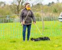 Bicestr Dog Show (1 of 399)