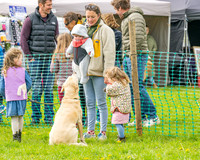 Bicestr Dog Show (2 of 399)