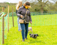 Bicestr Dog Show (4 of 399)