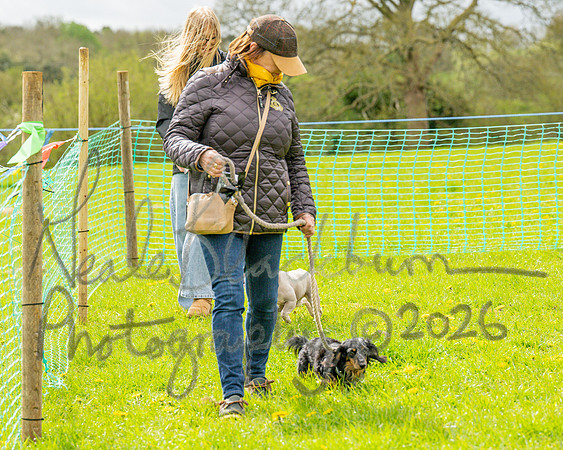 Bicestr Dog Show (4 of 399)