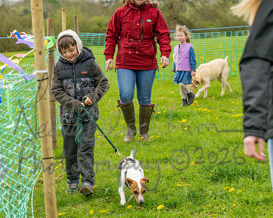 Bicestr Dog Show (5 of 399)