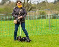 Bicestr Dog Show (9 of 399)