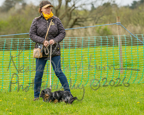 Bicestr Dog Show (9 of 399)
