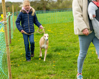 Bicestr Dog Show (8 of 399)