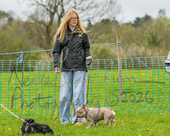 Bicestr Dog Show (11 of 399)