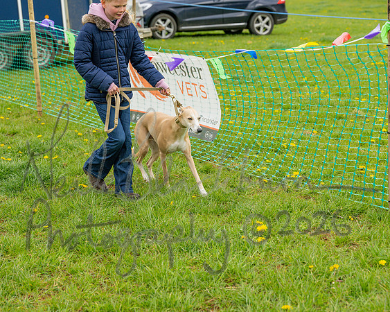 Bicestr Dog Show (13 of 399)