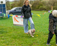Bicestr Dog Show (16 of 399)