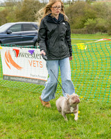 Bicestr Dog Show (17 of 399)