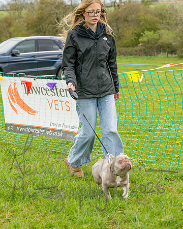 Bicestr Dog Show (17 of 399)