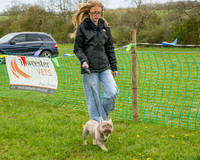 Bicestr Dog Show (18 of 399)