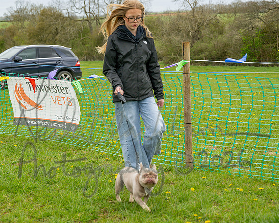 Bicestr Dog Show (18 of 399)