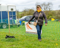 Bicestr Dog Show (19 of 399)